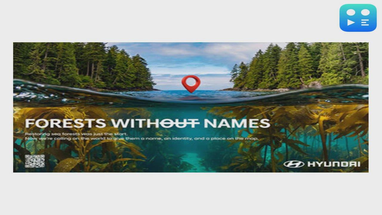 Forests Without Names: Hyundai Motor Brings the World's Hidden Sea Forests Into the Light