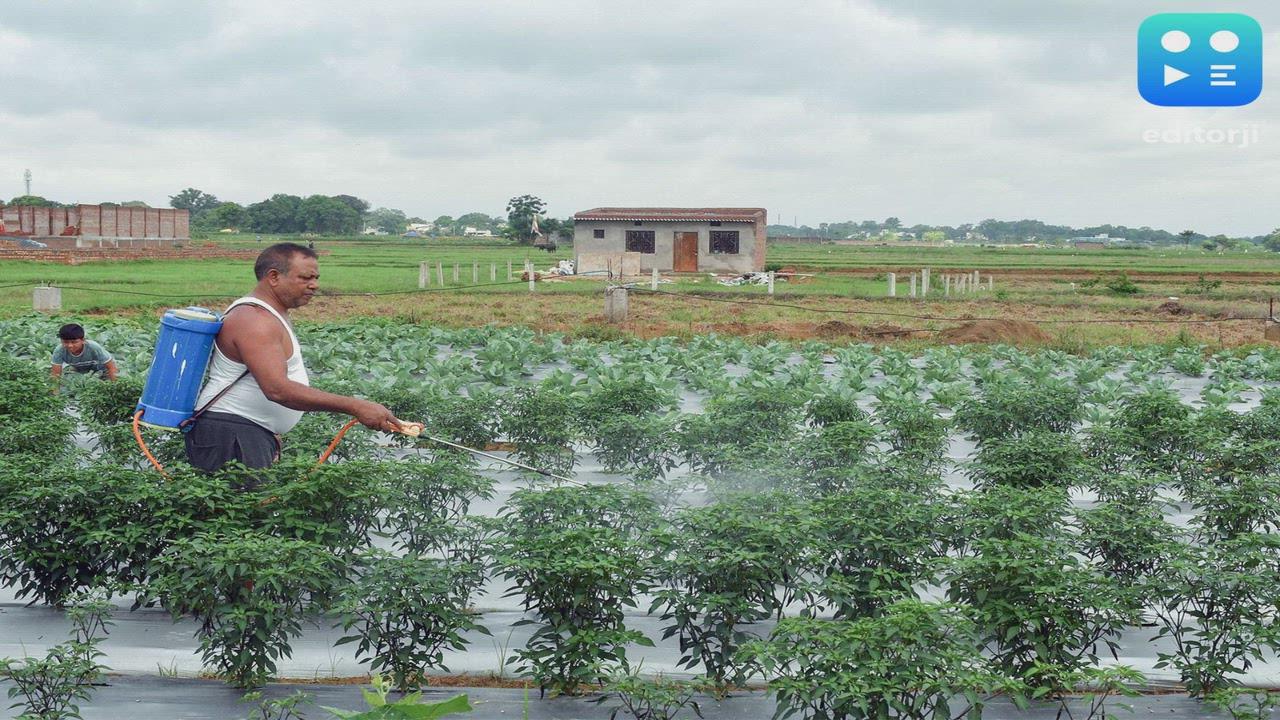 Dual risks of monsoon deficit and rising input costs threaten India's rural economy in 2026: Report