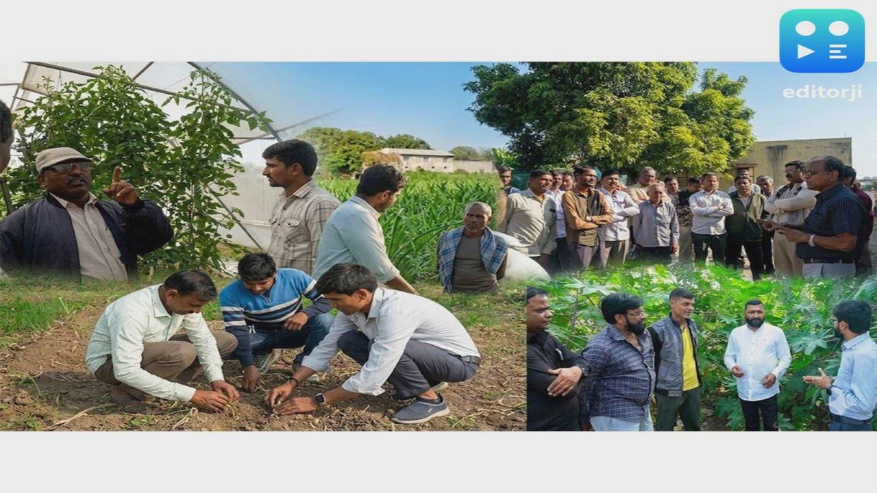 25,000+ Farmers, 84,000+ Farming Interventions: How GNFC is Shaping the Future of Agriculture in Gujarat