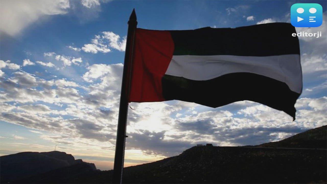 UAE exit from OPEC+ may not ease oil prices, could heighten volatility, weaken cartel premium: Report