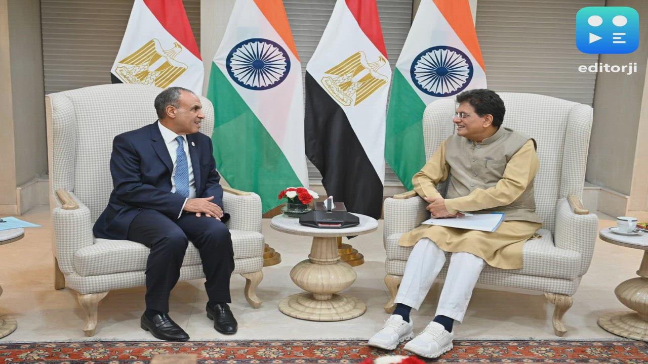 Piyush Goyal meets Egyptian Foreign Affairs Minister to explore avenues in AI, pharmaceuticals