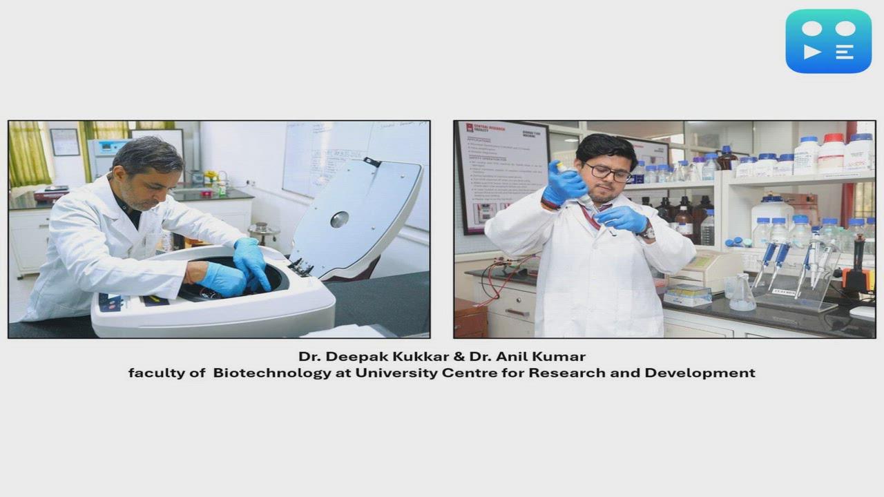 Chandigarh University Biotechnology Scientists Faculty Secure Rs 1.16 Crore Government Grants from ICMR and ANRF for Mustard Yield and Diabetic Kidney Disease Research