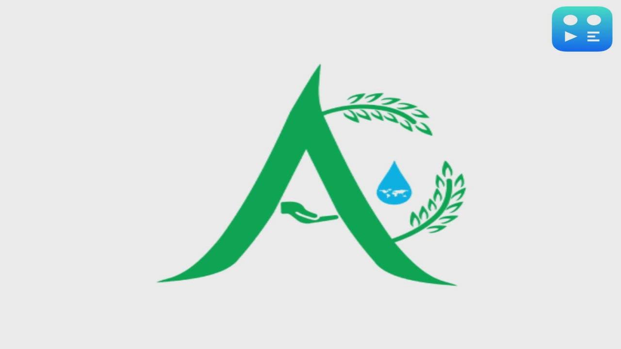 Aelea Commodities Limited Scripts a Historic Turnaround with Breakout Performance