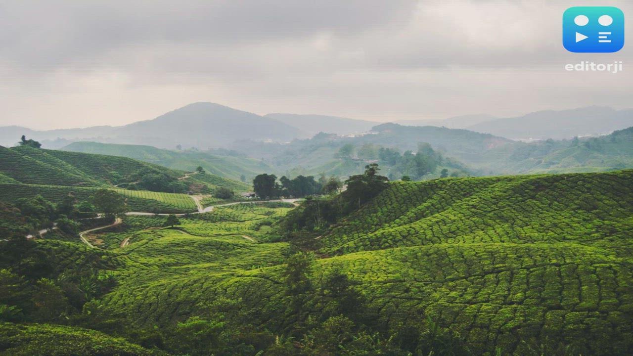 Indian Travellers Turn to Offbeat Domestic Destinations Amid Global Uncertainty and Rising Travel Costs