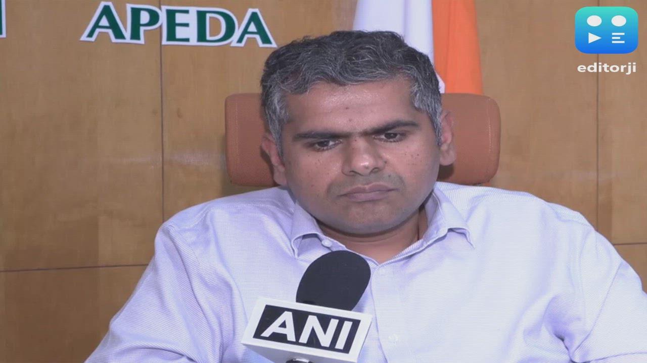 India's mango exports reach 45 countries; shipments to US likely to grow over 30% this season: APEDA chief