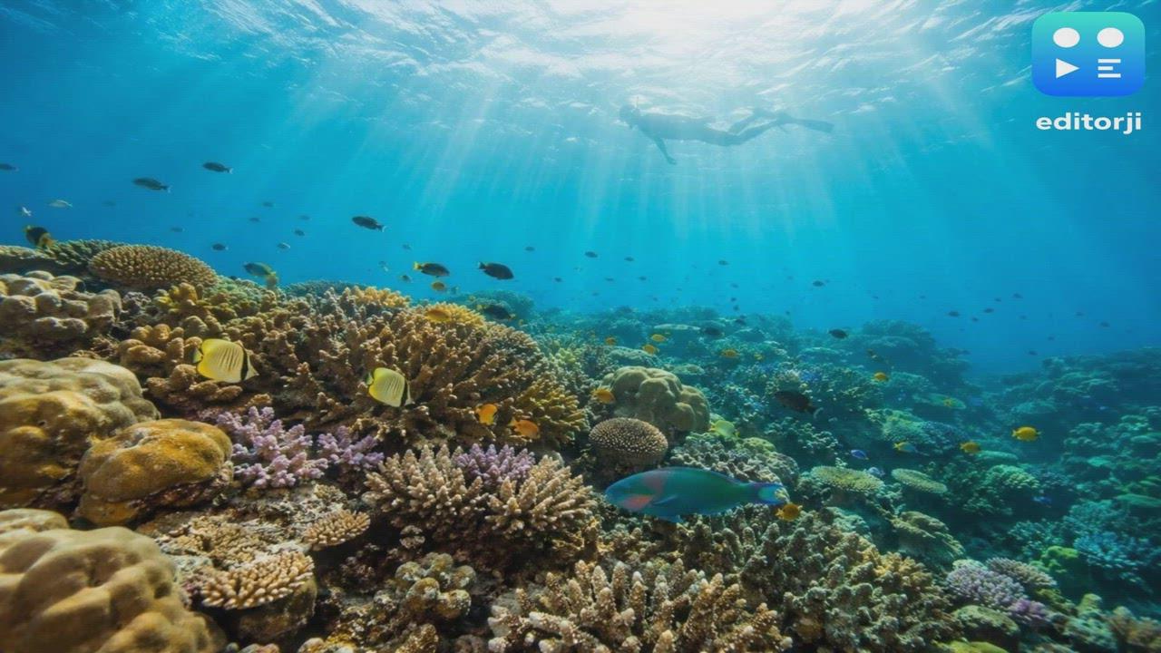 Havelock Island Draws More First-Time Scuba Divers, Including Those Who Cannot Swim
