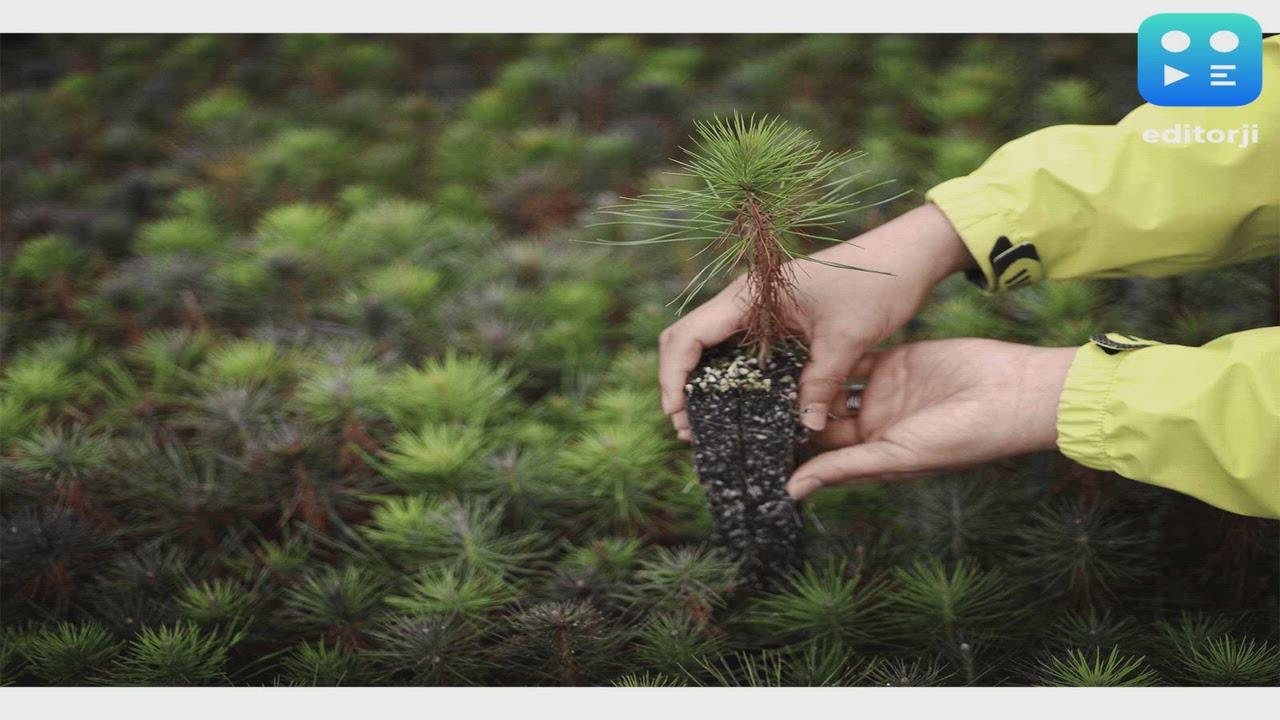 Tetra Pak Advances Food System Resilience as It Cuts GHG Emissions Across the Value Chain by Over a Third