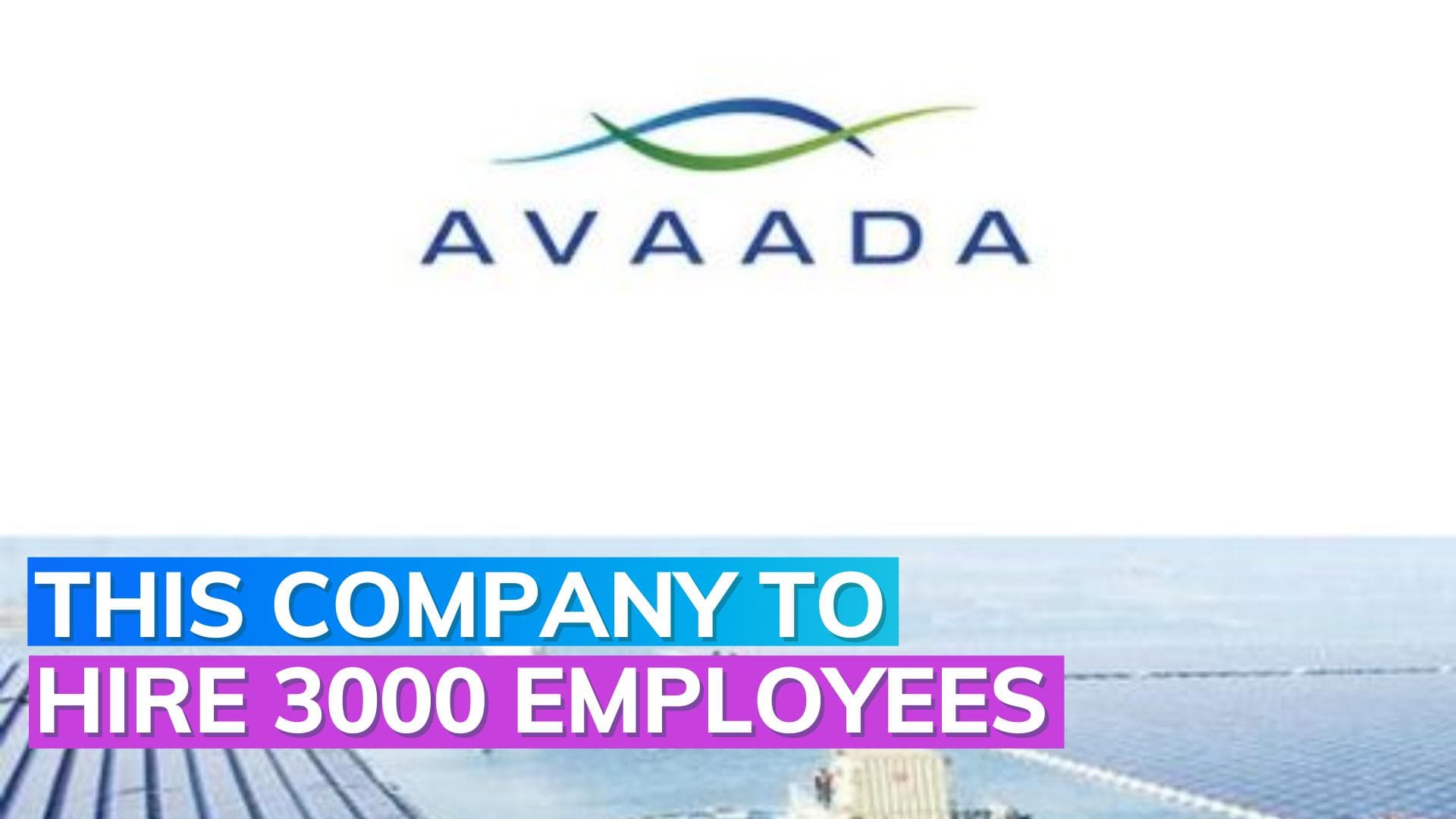 Renewable energy firm Avaada Group ramps up hiring; plans to hire 2000-3000 people in next 2 years