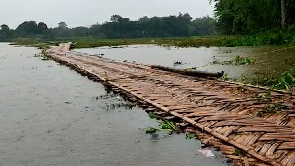 North Bengal Flood: জলের তোড়ে ভেসে গেল বাঁশের সাঁকো, যোগাযোগ বিচ্ছিন্ন হয়ে আশঙ্কা ডুয়ার্সের গ্রামে