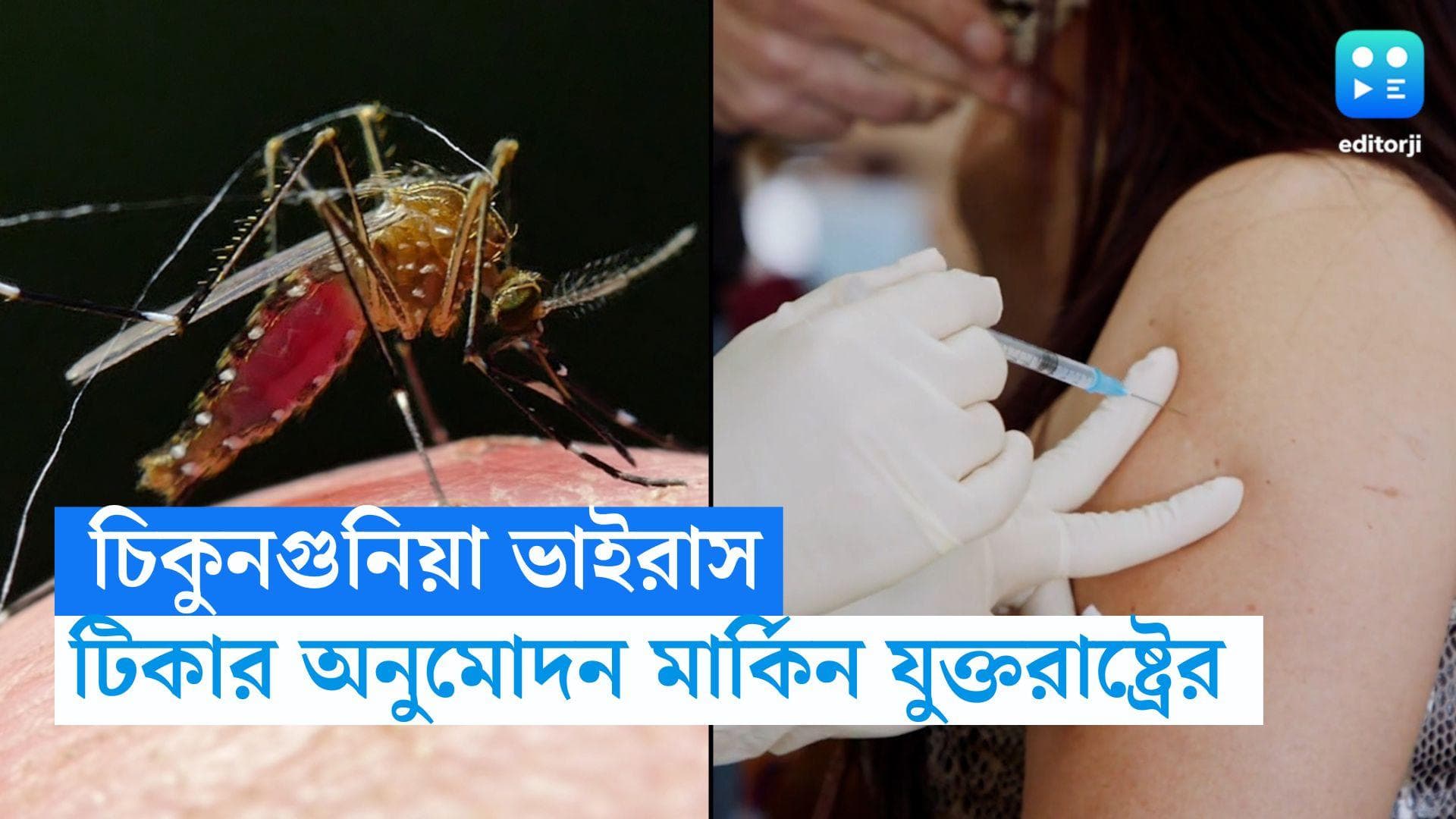 Chikungunya Vaccine : বাজারে আসছে চিকুনগুনিয়া ভ্যাকসিন, ইক্সচিক-কে অনুমোদন মার্কিন যুক্তরাষ্ট্রের