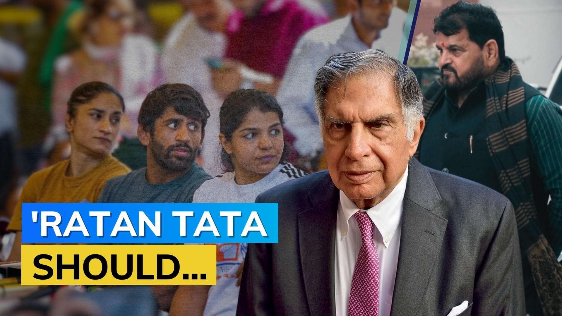 Ratan Tata should inquire about his donations to WFI: Vinesh Phogat