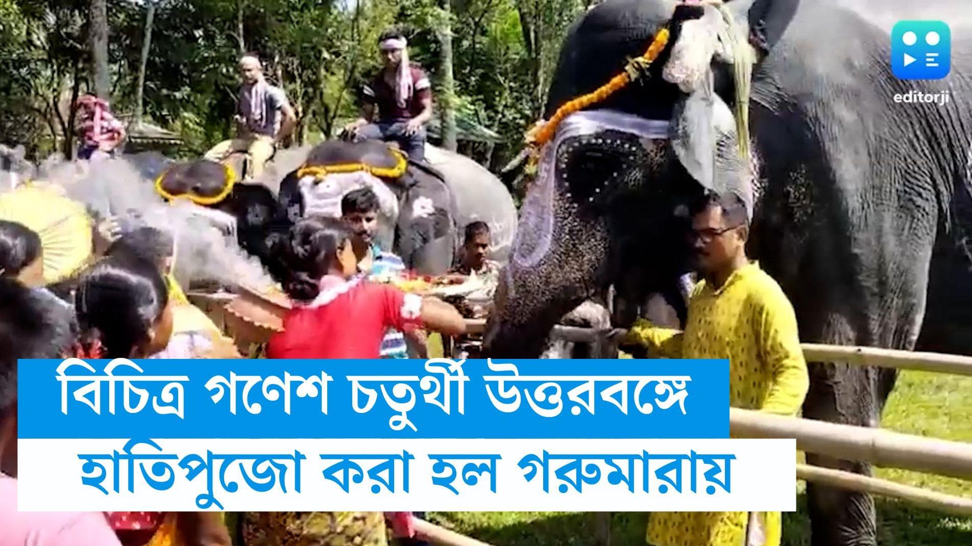 Jalpaiguri news:  গায়ে সুন্দর নকশা আঁকা, ডুয়ার্সে হাতিপুজোতে মেতে উঠলেন পর্যটকরাও