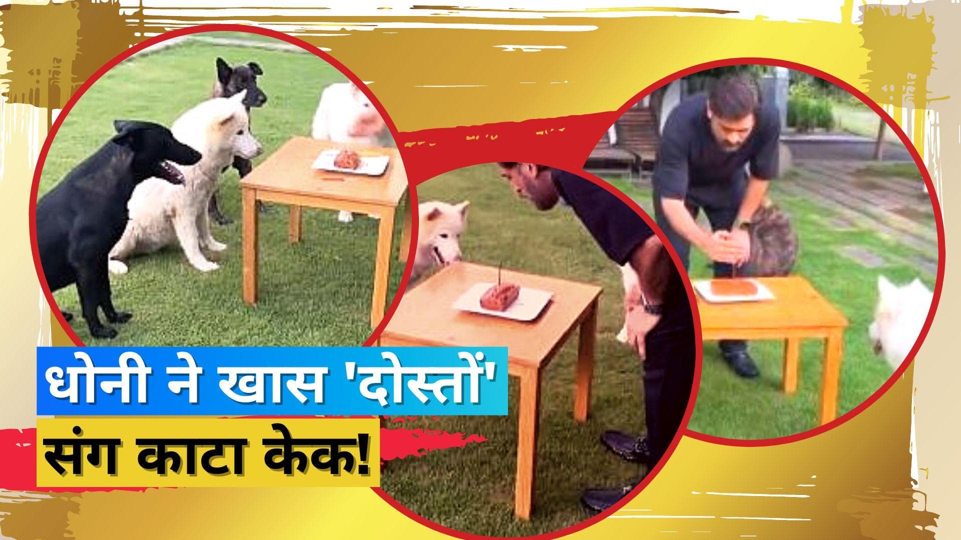 एमएस धोनी ने अलग अंदाज में सेलीब्रेट किया अपना 42वां बर्थडे, सोशल मीडिया पर वायरल हुआ वीडियो