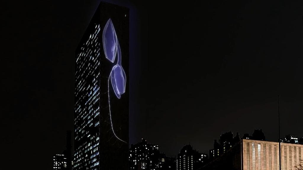 Watch: UN headquarters lights up with pictures of marine species 