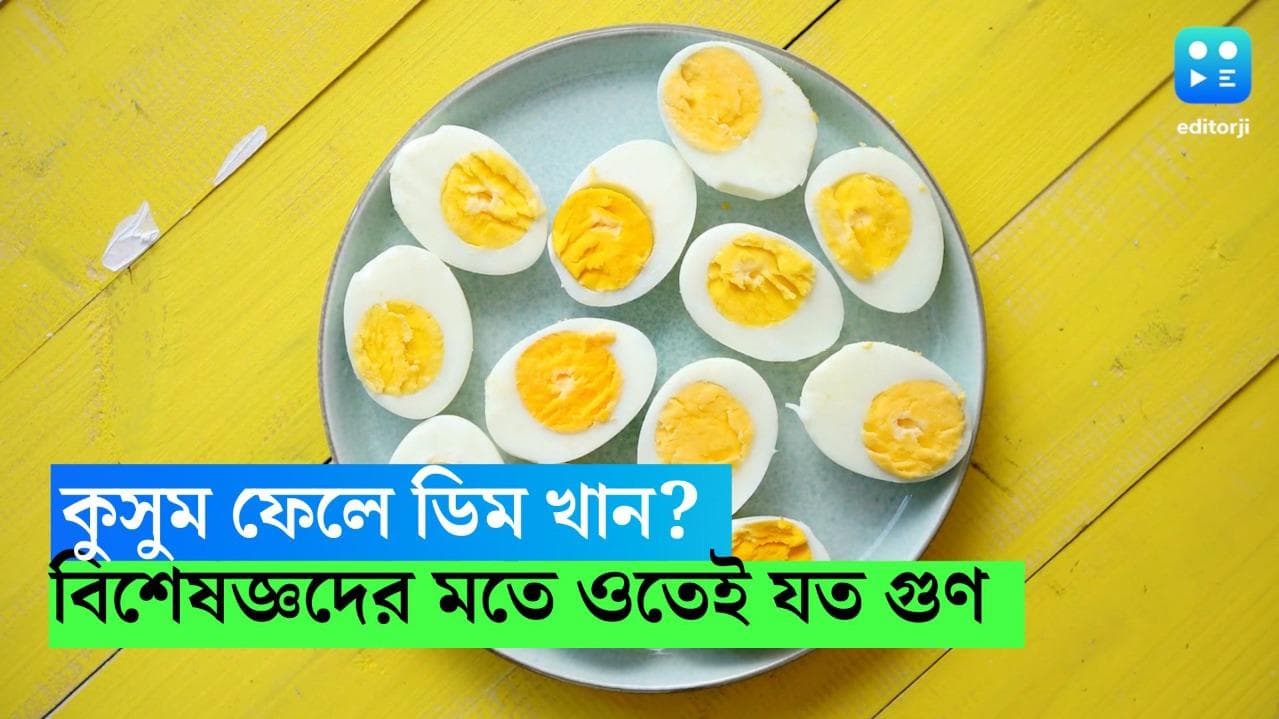 Egg Yolk Benefits: কুসুম ফেলে ডিম খান? বিশেষজ্ঞদের মতে ওটিতেই রয়েছে বেশি গুণ, জানুন 
