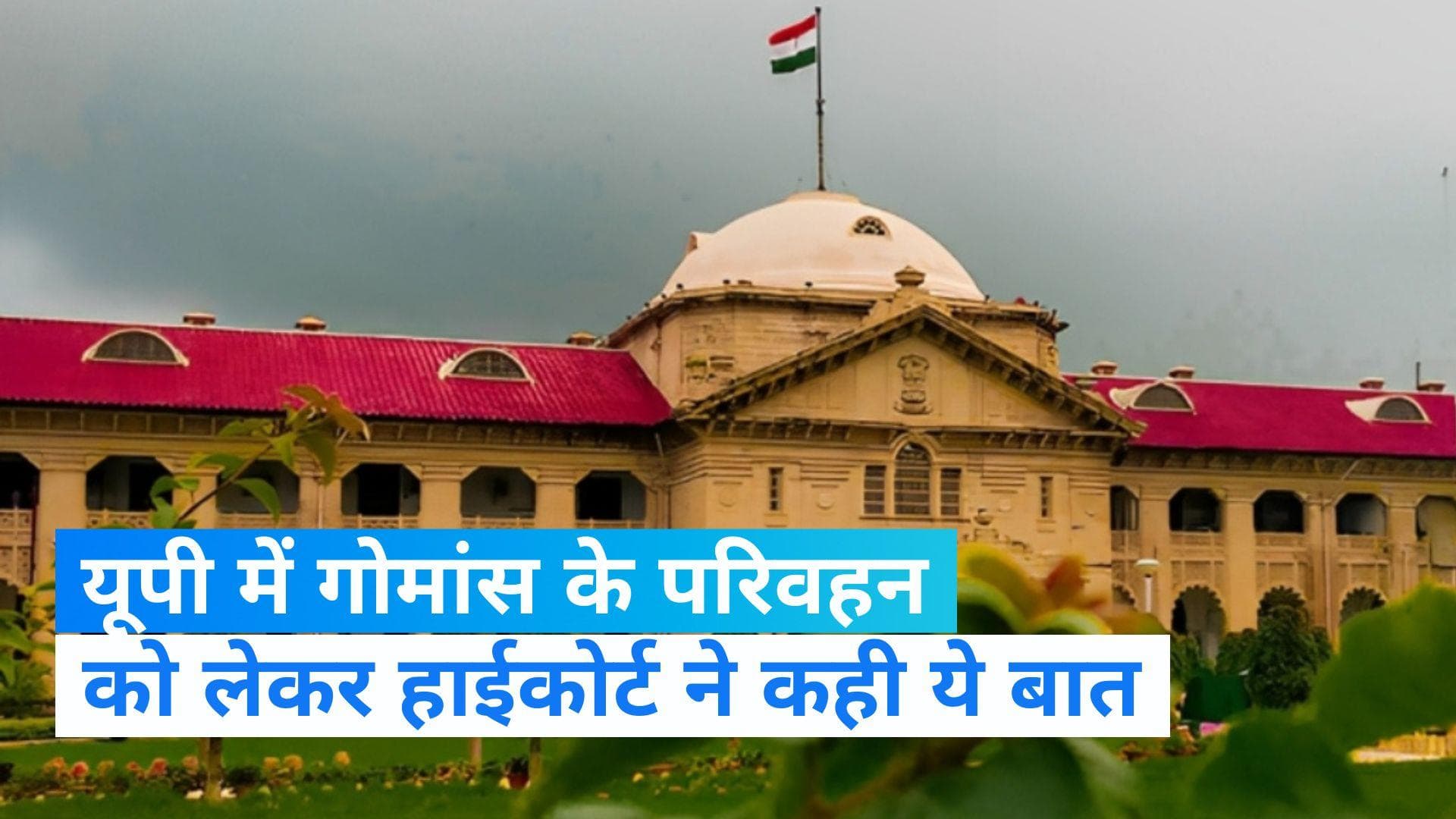 Allahabad High Court: यूपी में गोमांस परिवहन पर प्रतिबंध संबंधी कोई अधिनियम नहीं- हाईकोर्ट