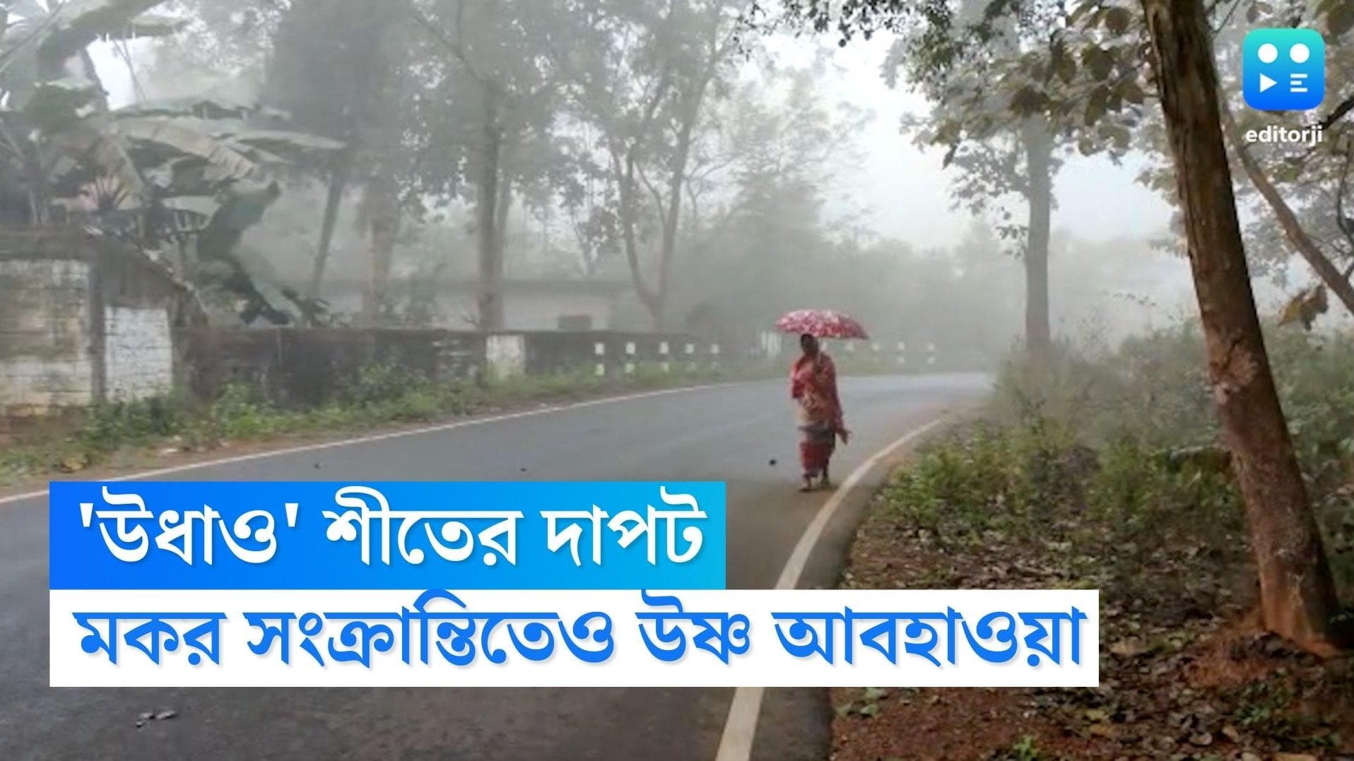 West Bengal Weather Update: মকর সংক্রান্তিতেও 'উধাও' ঠাণ্ডা, রাজ্যে কবে থেকে শুরু শীতের দ্বিতীয় স্পেল?