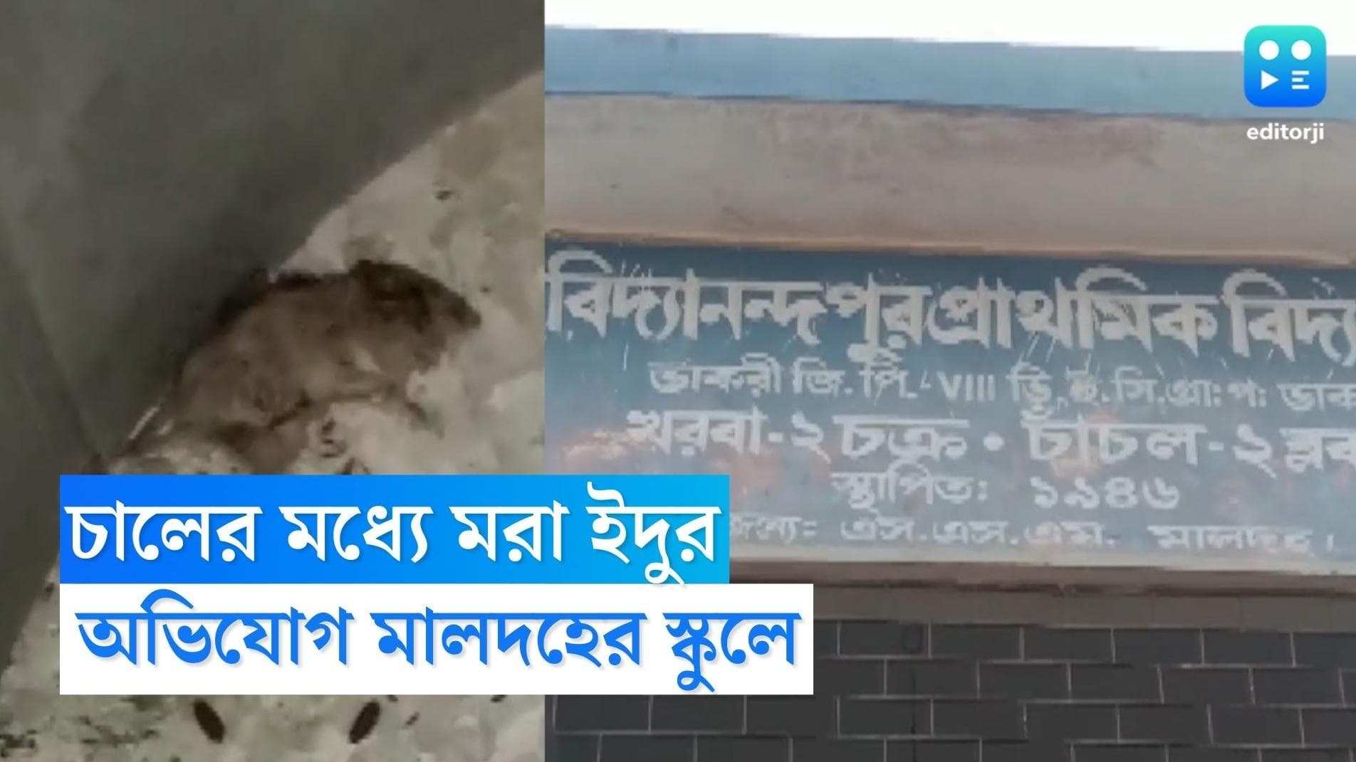 Lizard-Rat in Mid Day Meal: মিড ডে মিলের খাবারে মরা ইঁদুর-টিকটিকি, মালদহের স্কুলে অভিভাবকদের বিক্ষোভ
