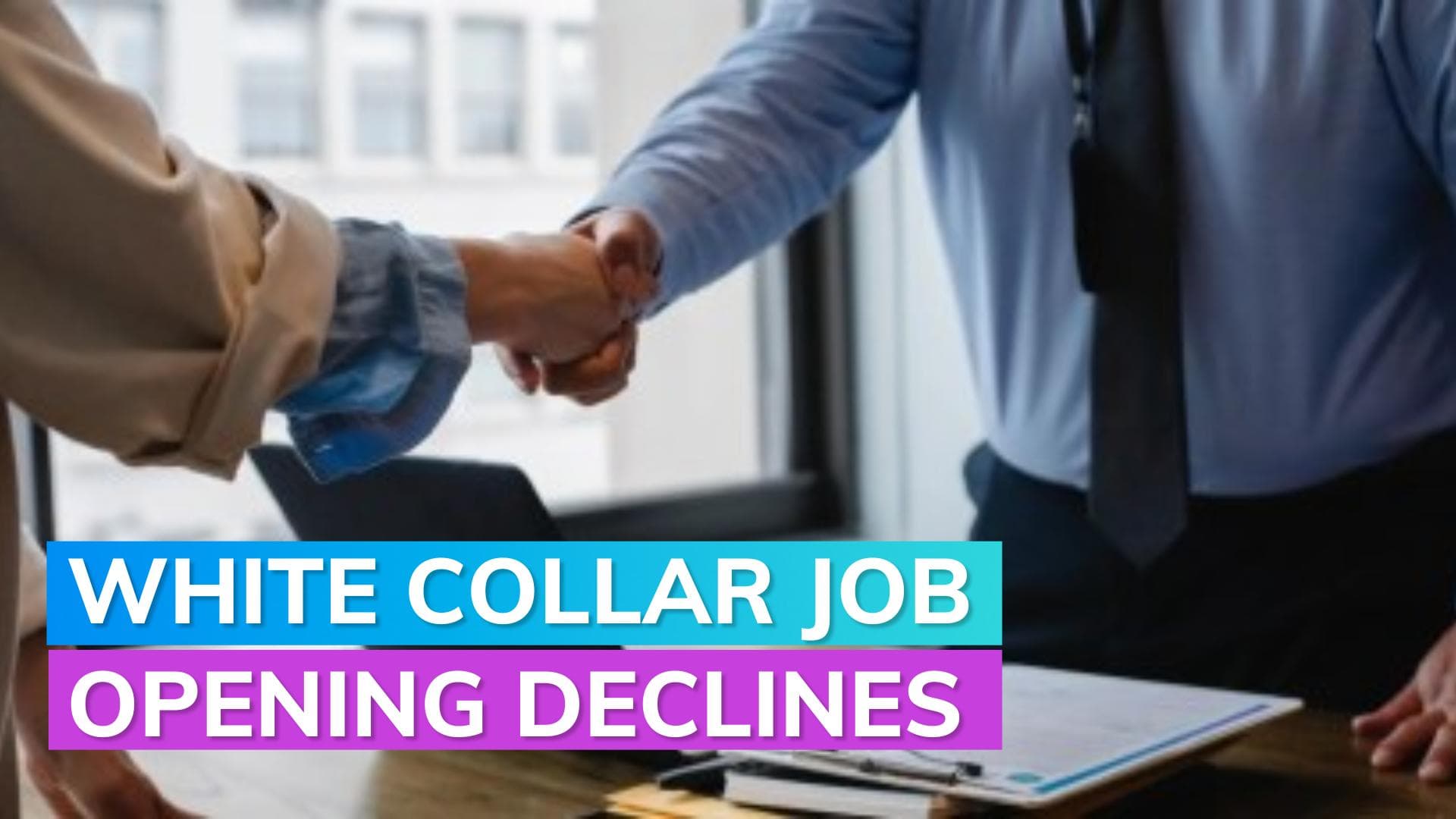 White-collar job postings decline by 12% in October-November 2023