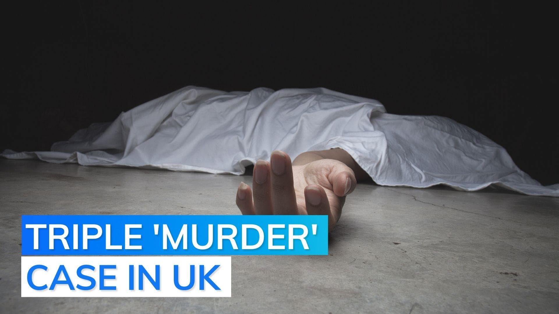  Indian-origin woman and kids found dead in UK; murder suspected