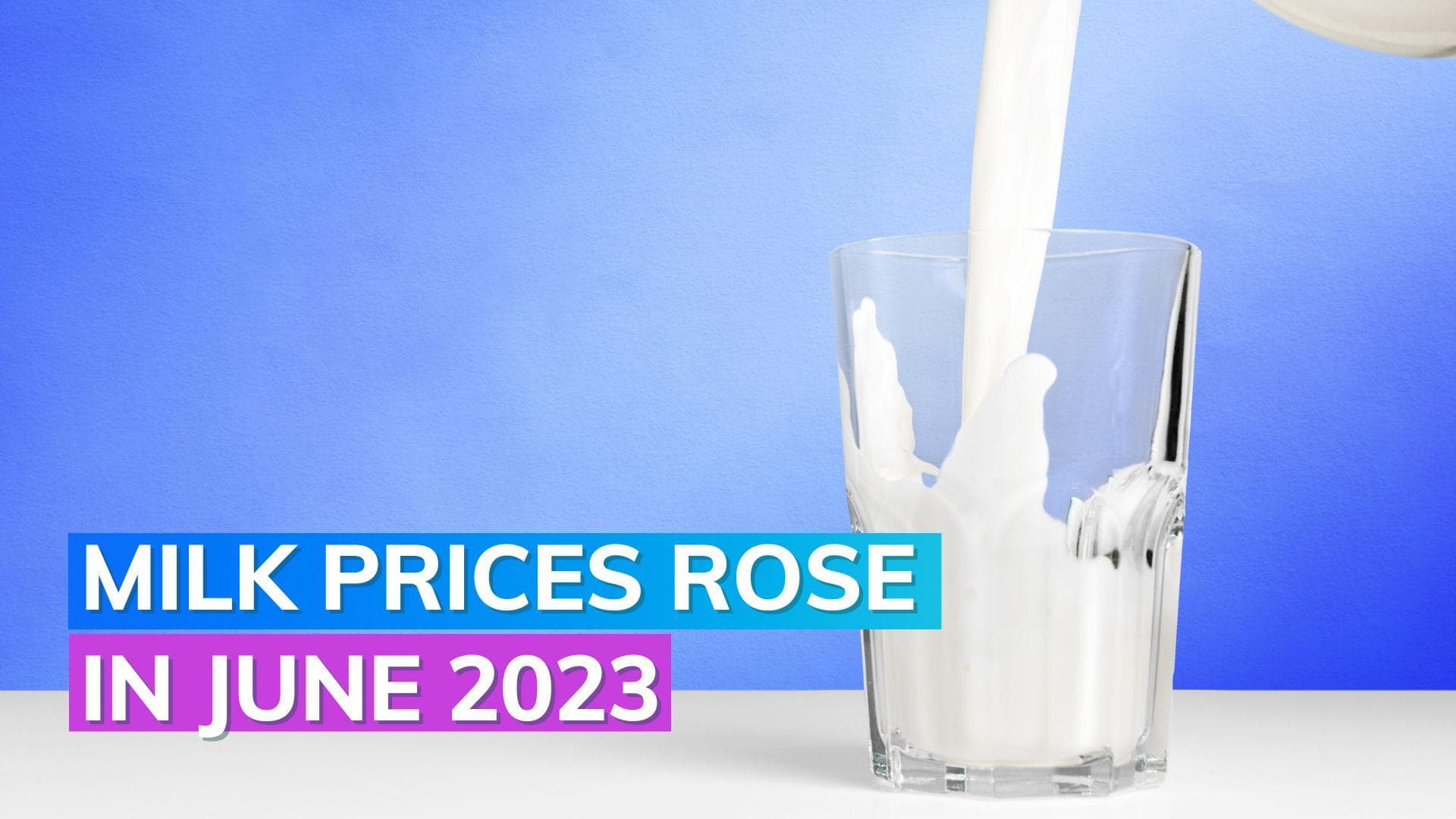 Milk prices: toned, full-cream milk rose 10% in June 2023