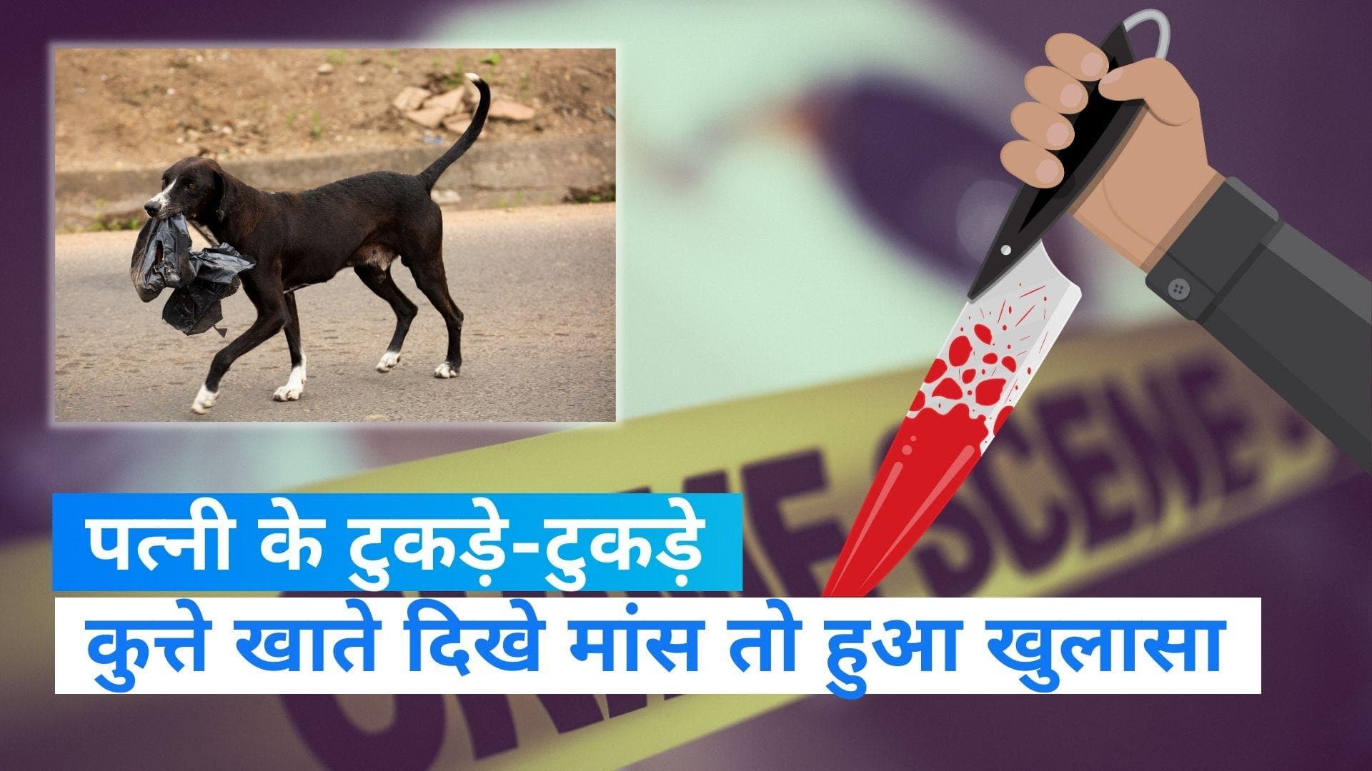 Jharkhand Murder: पति ने की पत्नी की हत्या, फिर इलेक्ट्रिक कटर से शव के किए टुकड़े-टुकड़े...जानें क्यों