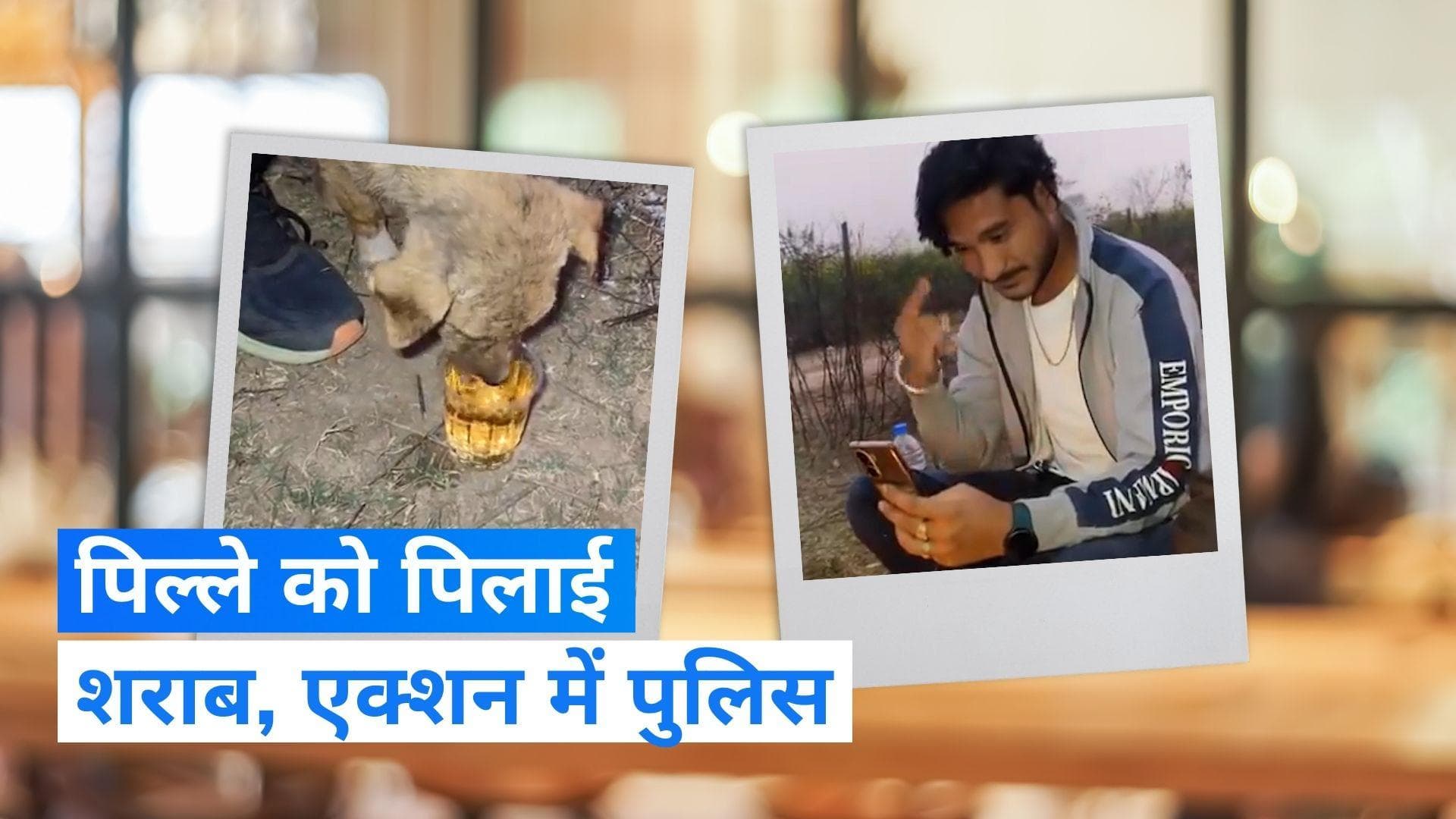 Viral Video: कुत्ते को शराब पिलाने का वीडियो वायरल, हरकत में आई पुलिस 