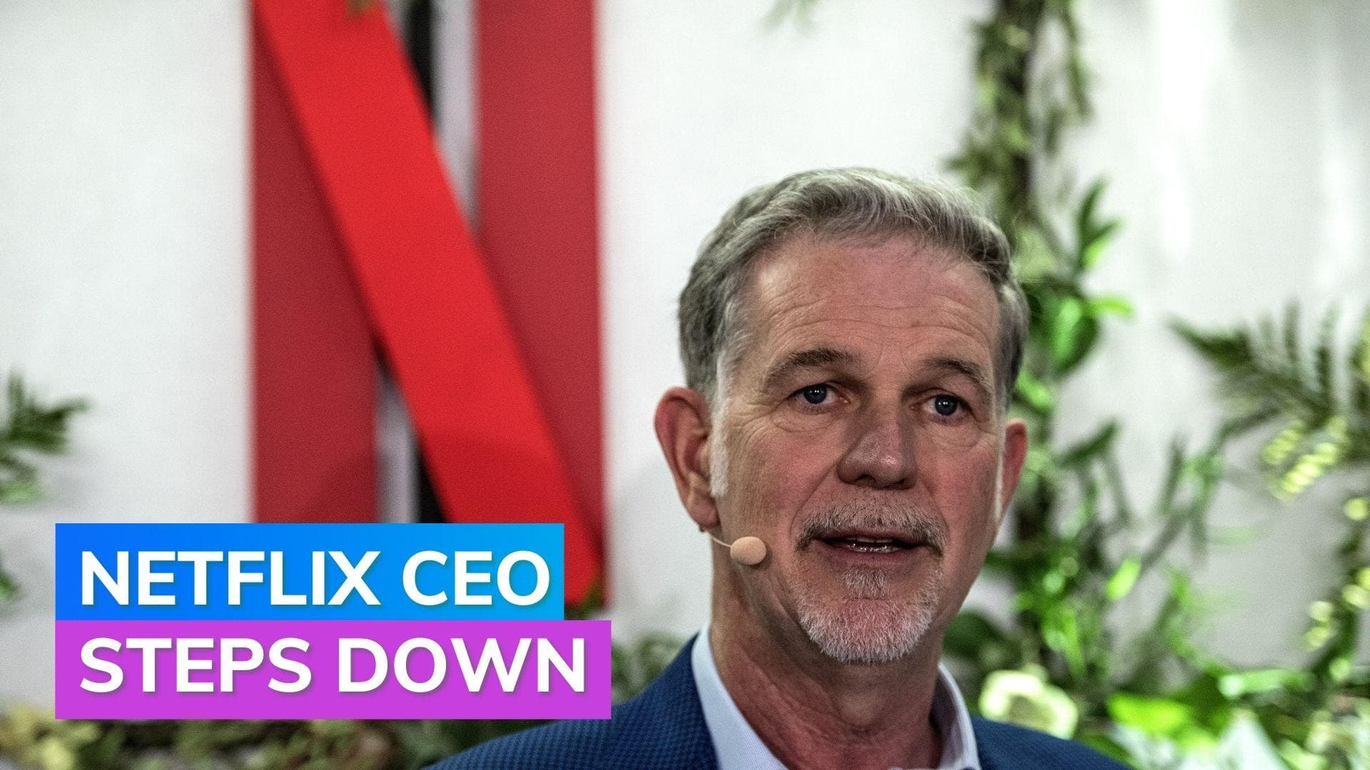 Netflix co-founder steps down as it gains 230 mn subscribers 