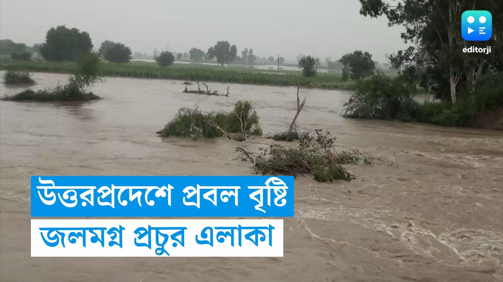 UP Rain: প্রবল বর্ষণ উত্তর প্রদেশে, জলমগ্ন বিভিন্ন এলাকা! ২৪ ঘণ্টায় মৃত ১০