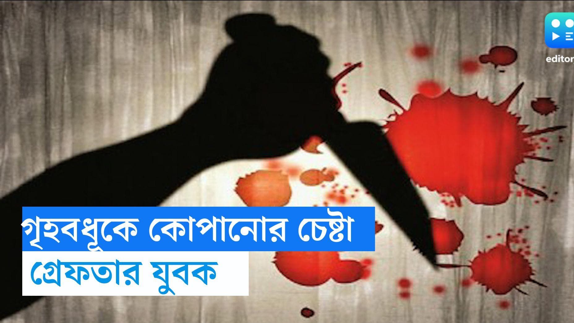 Nadia News: কুপ্রস্তাবে রাজি না হওয়ায়, গৃহবধূকে কোপানোর চেষ্টার অভিযোগ যুবকের বিরুদ্ধে 