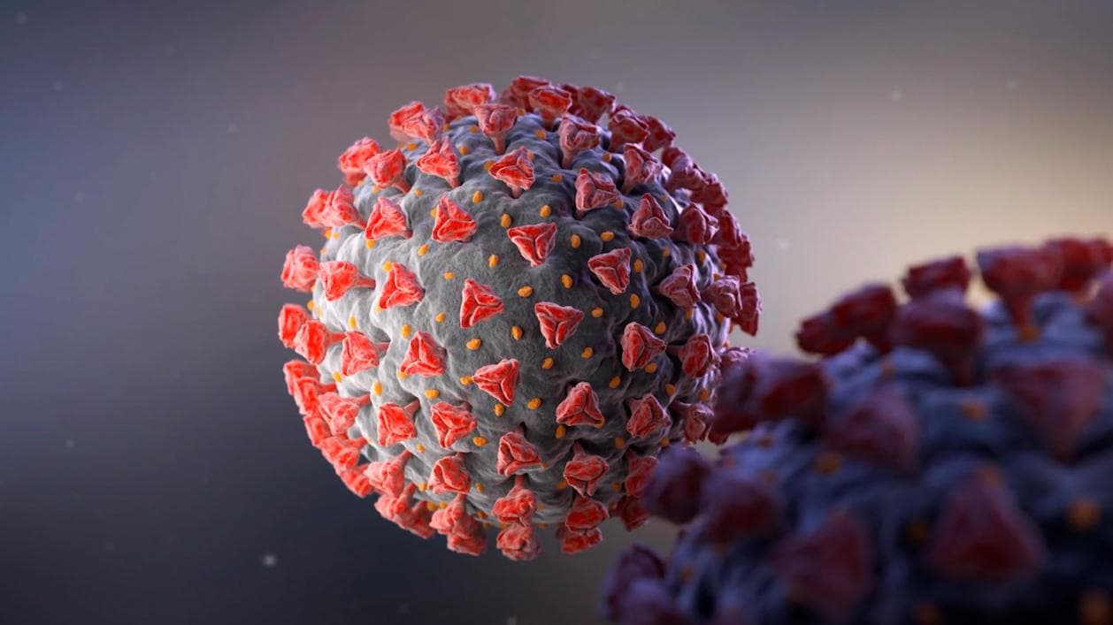 Omicron Variant: ওমিক্রন ভাইরাস ডেল্টা বা বিটা স্ট্রেনের তুলনায় তিনগুণ বেশি সংক্রামক, বলছে গবেষণা