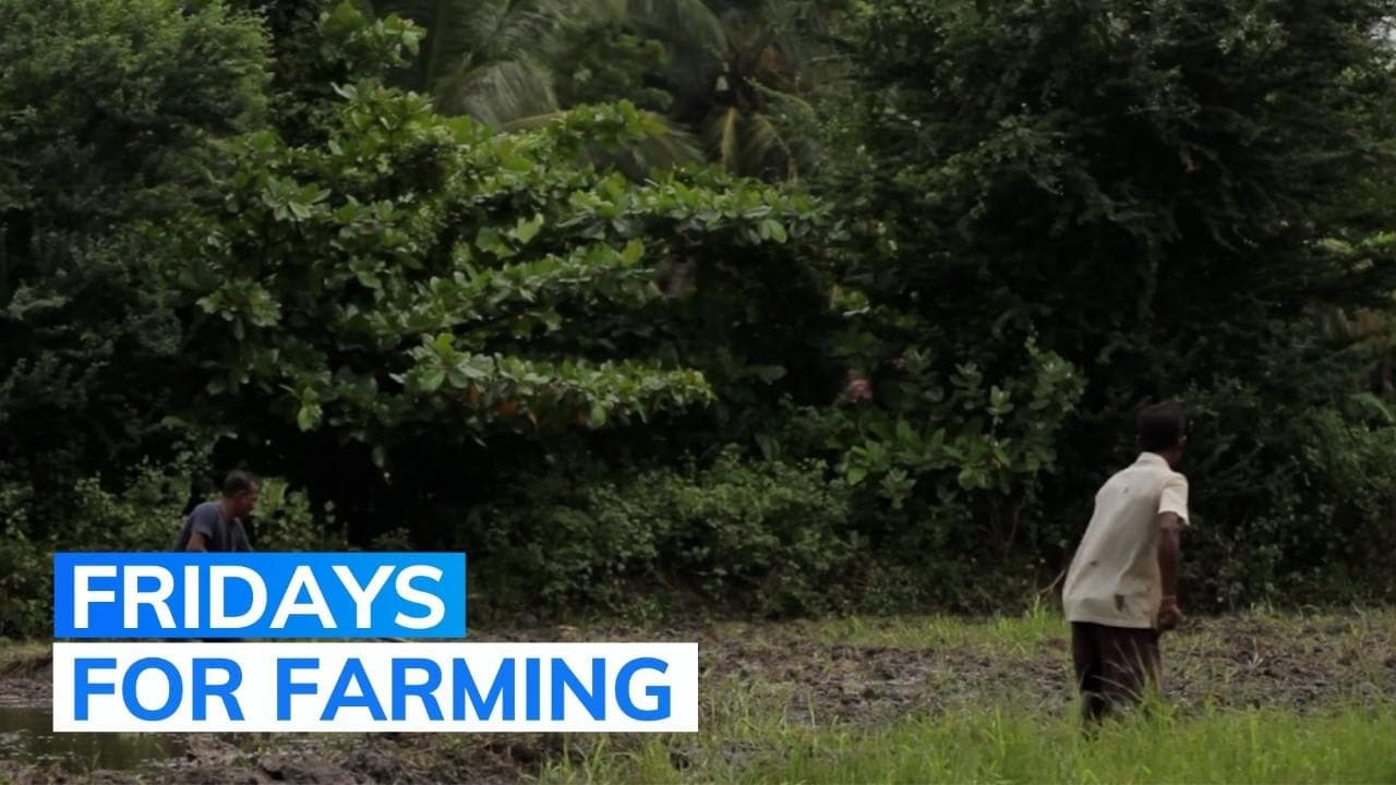 Sri Lanka govt employees to get extra leave every week for farming