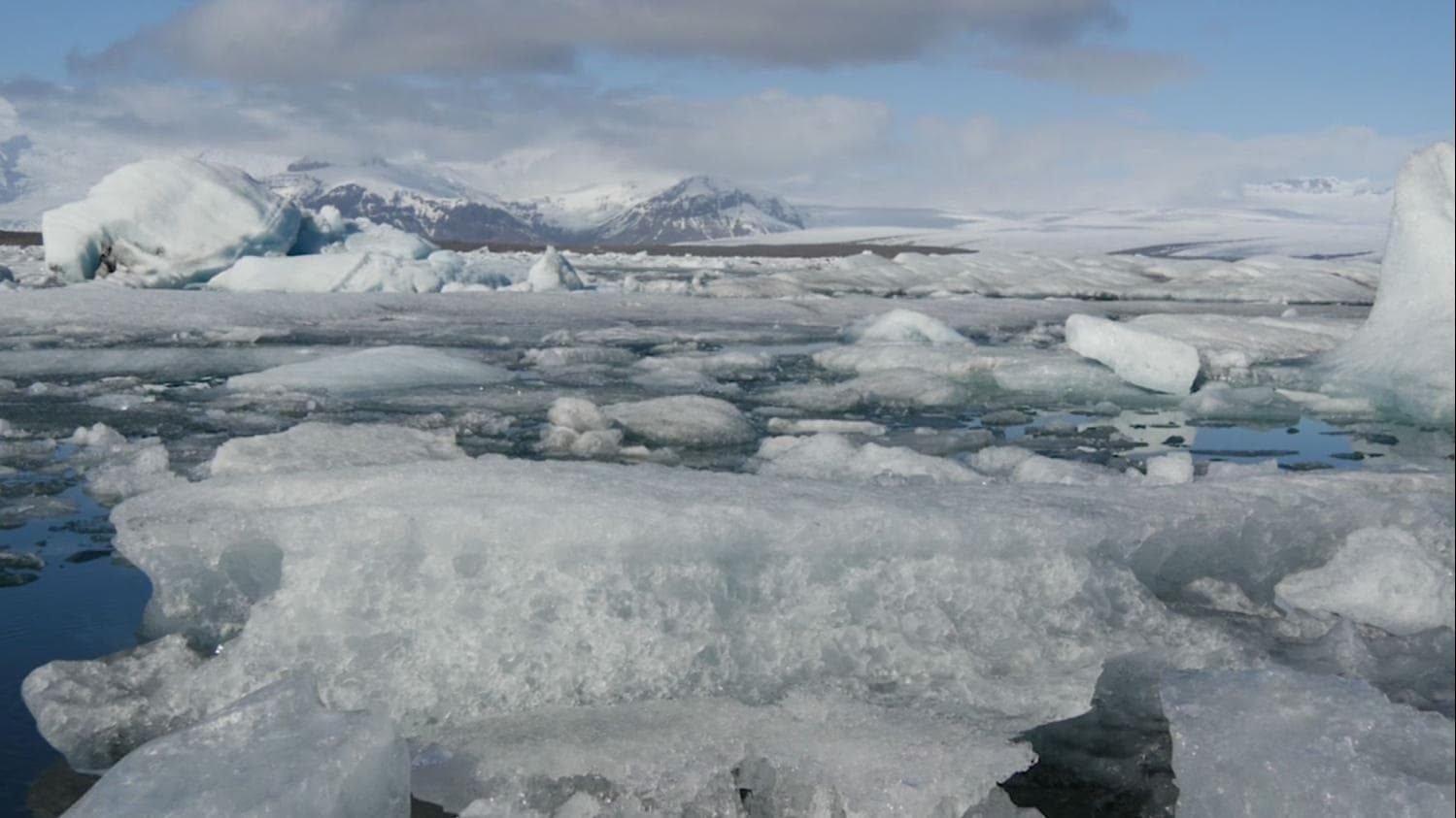 COP26: What is it and why is it the world's last chance for climate action?