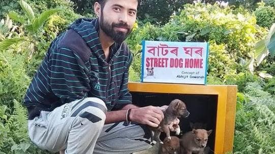 Trash to treasure: man creates dog kennels with discarded TV sets
