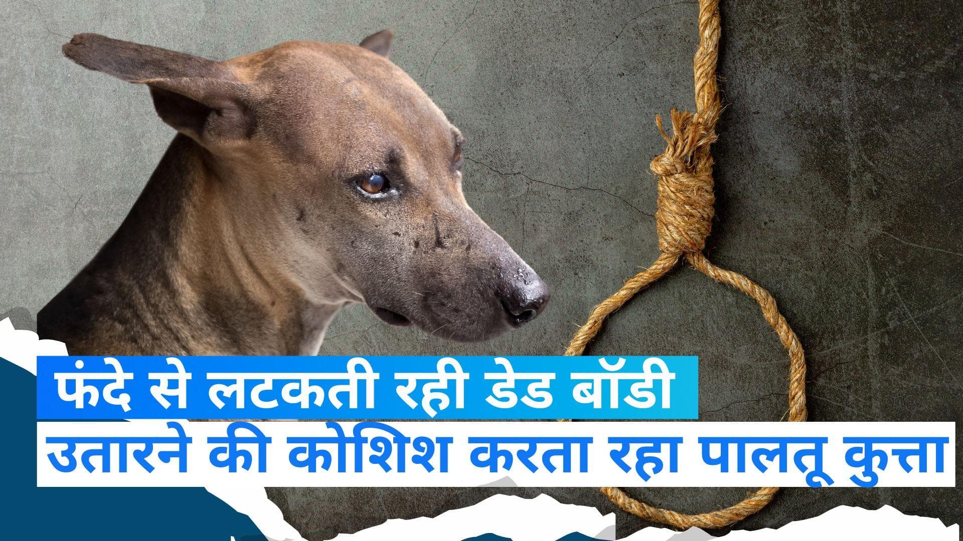 Young boy suicide in jhansi: फांसी पर लटका युवक, उतारने की कोशिश करता रहा पालतू कुत्ता  