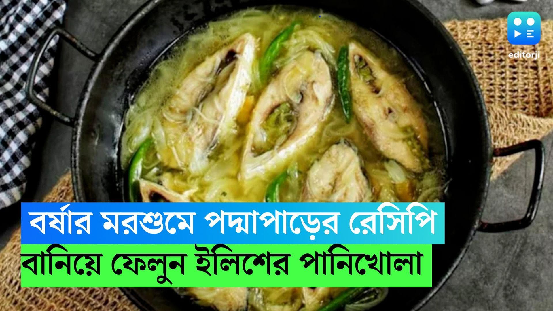 Ilisher Panikhola: পাতুরি কিংবা ভাপা নয়, রইল ওপার বাংলার বিখ্যাত রেসিপি ইলিশের পানিখোলা