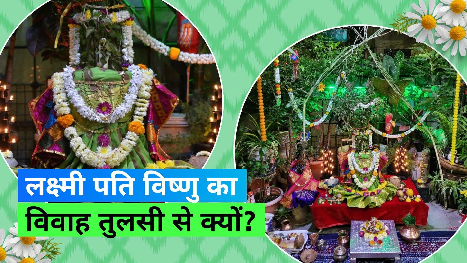 Tulsi Vivah on DevUthani Ekadashi: क्यों किया जाता है शालिग्राम का तुलसी से विवाह, जानिये इसकी रोचक वजह