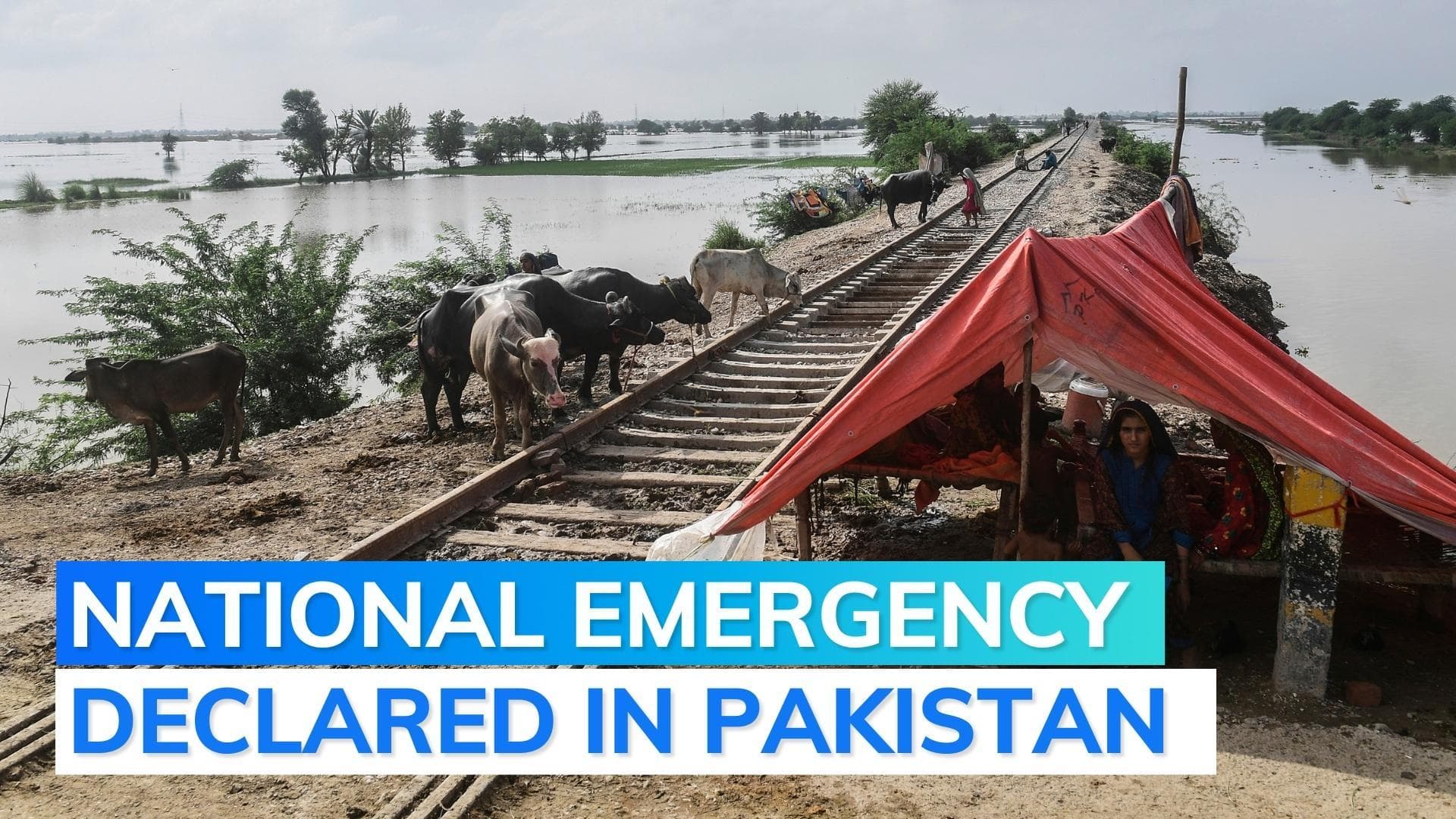 Flood-ravaged Pakistan to deploy Army to assist in rescue and relief work