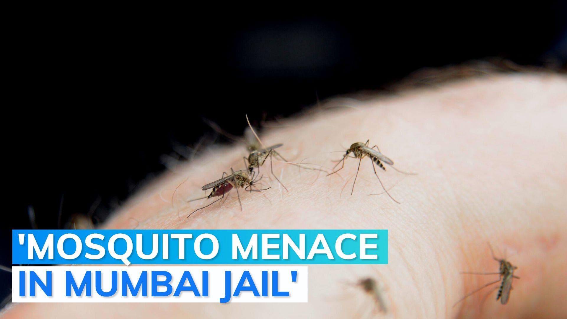 Gangster seeks 'net protection' in jail; court says 'use Odomos'