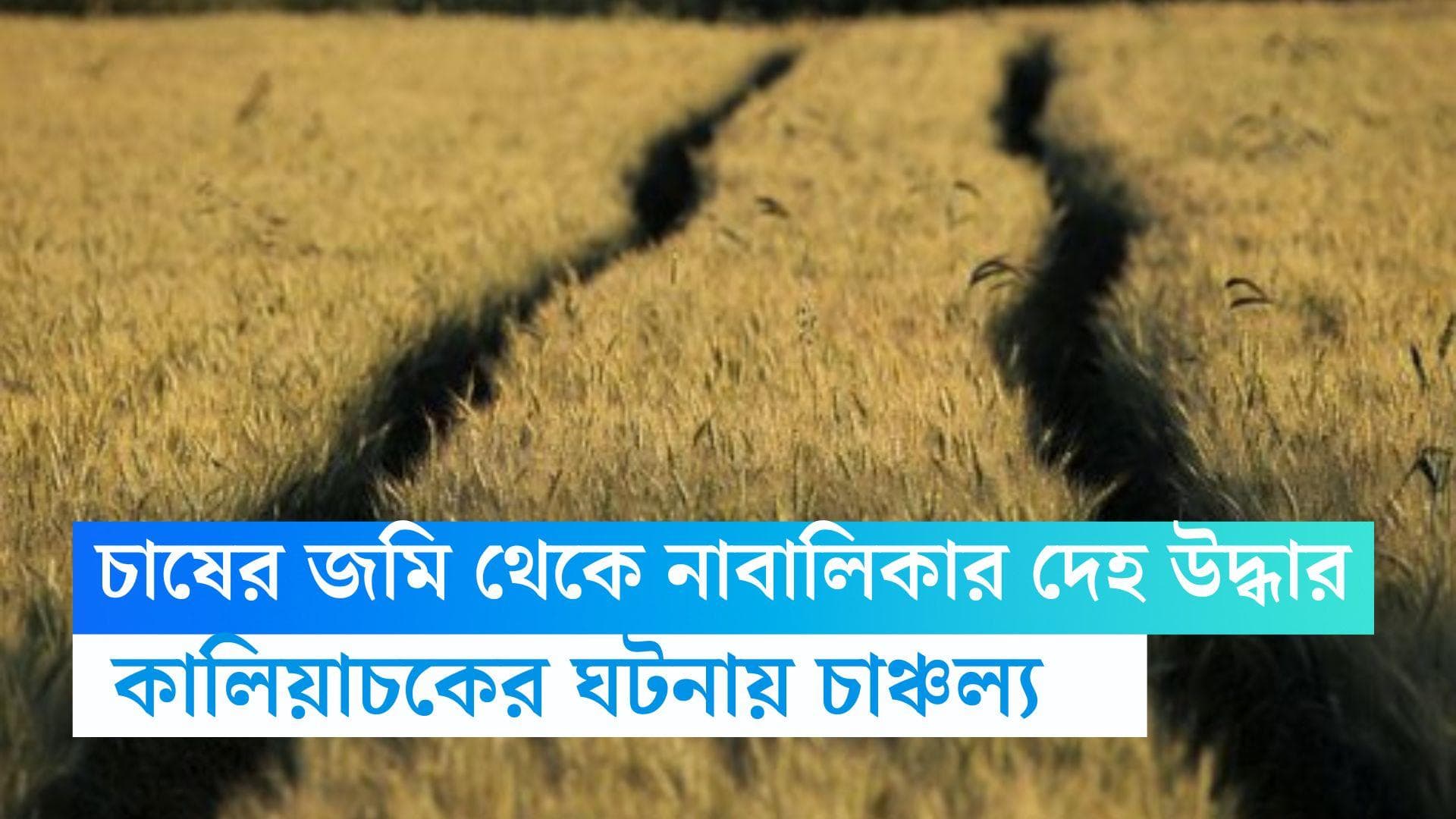 Malda News : এবার কালিয়াচক, চাষের জমি থেকে উদ্ধার নাবালিকার দেহ, শরীরে একধিক আঘাতের চিহ্ন