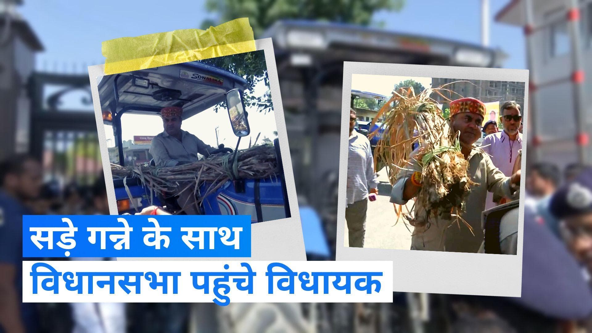 Uttarakhand News: मानसून सत्र के दूसरे दिन सड़े गन्ने के साथ विधानसभा पहुंचे विधायक, जानिए पूरा माजरा