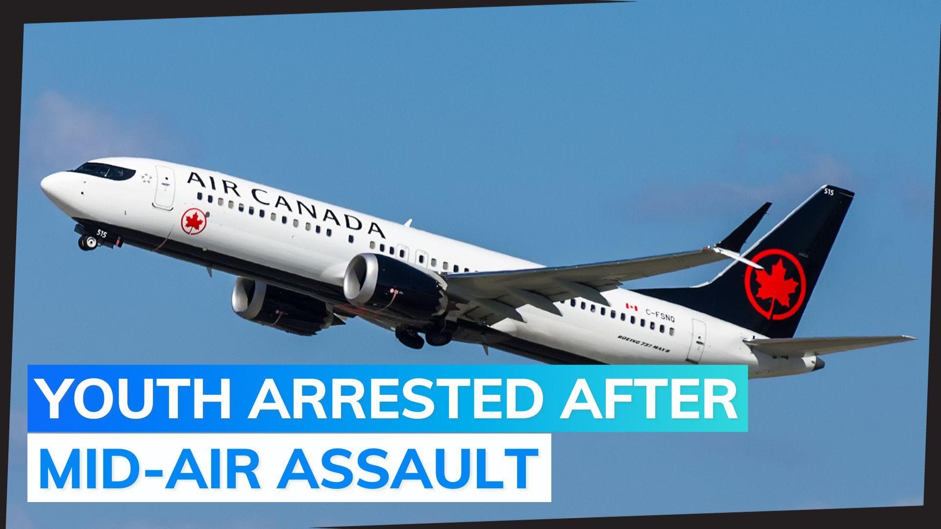 Flight forced to change route after teenager attacks family member mid-air, arrested: police