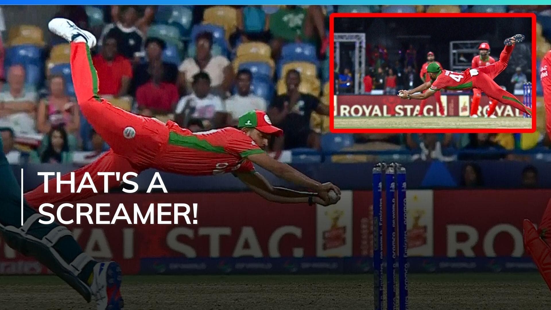 Watch Australia vs Oman highlights, T20 World Cup: Aqib Ilyas takes a blinder to dismiss Glenn Maxwell