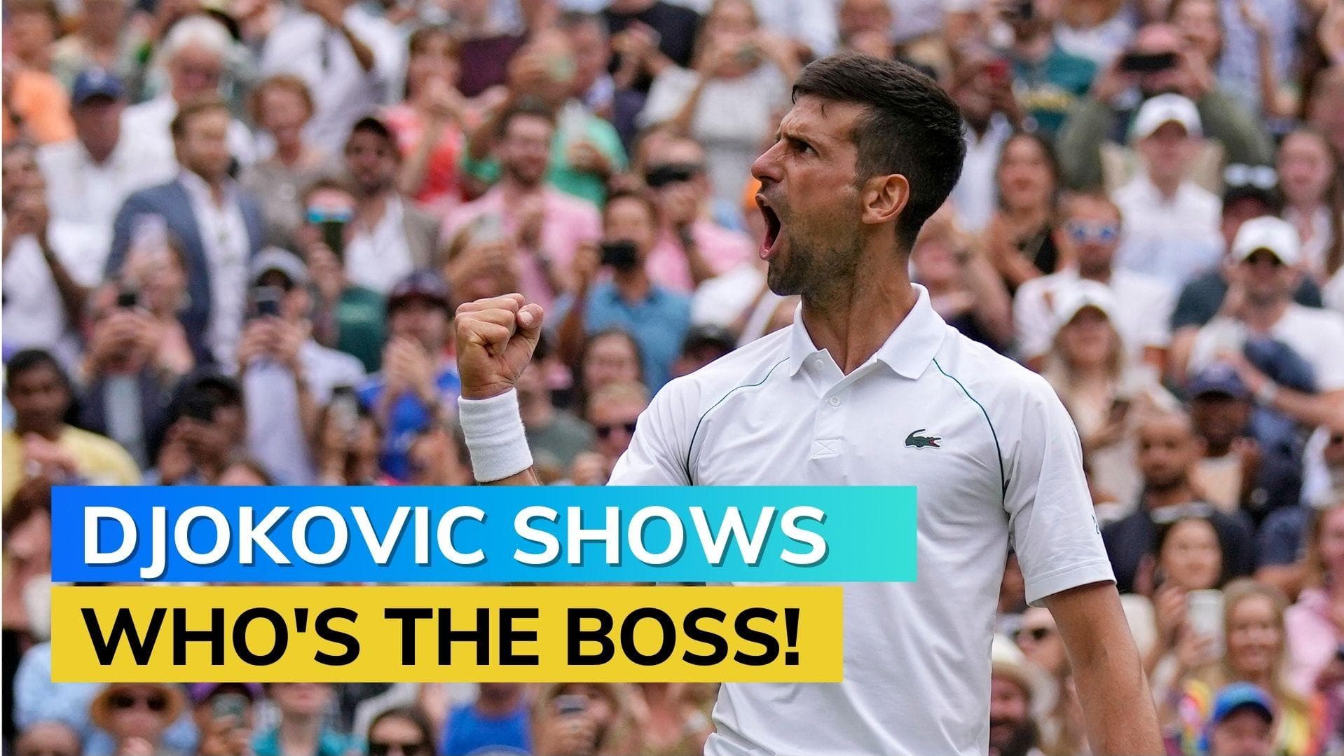 Wimbledon 2022: Novak Djokovic survives Sinner scare to reach semis