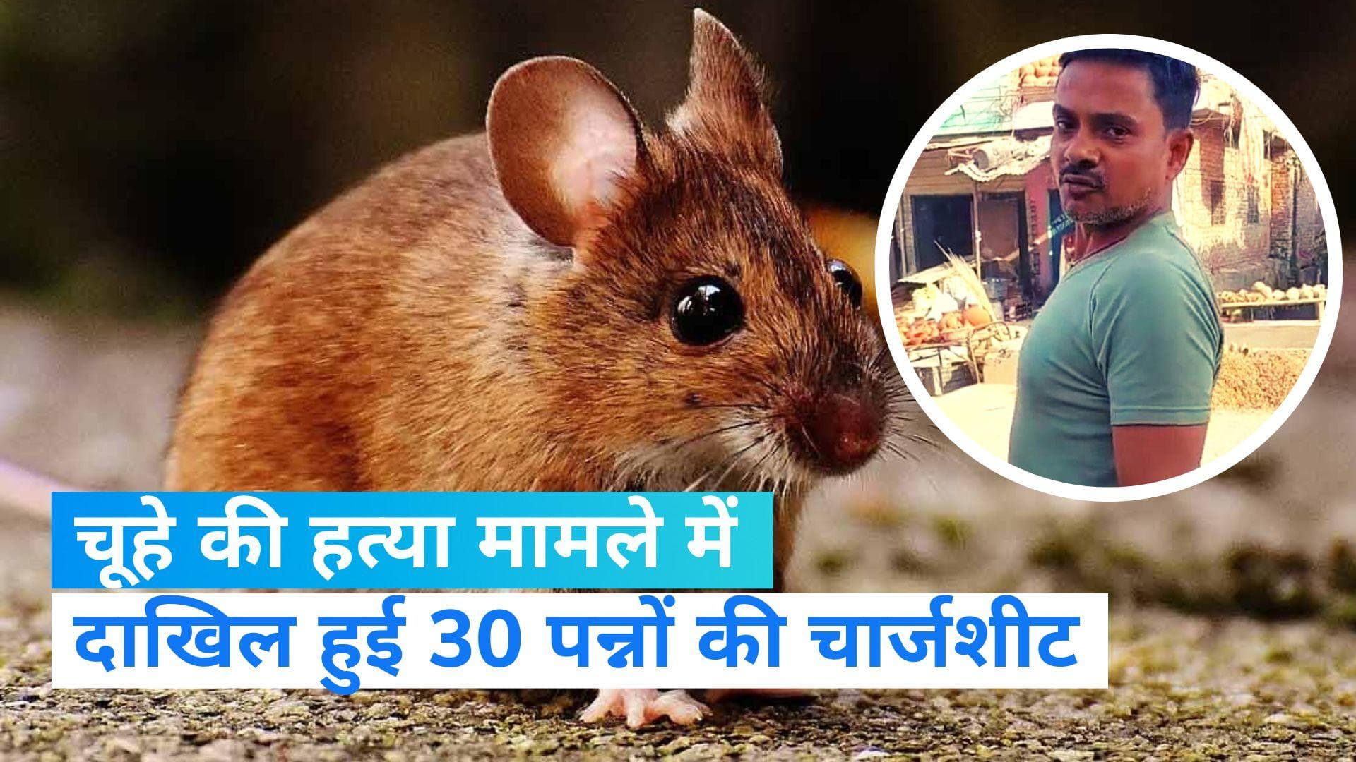 Rat Murder Case: चूहे की हत्या करने वाले युवक के खिलाफ और सख्ती, पुलिस ने दाखिल की 30 पन्नों की चार्जशीट