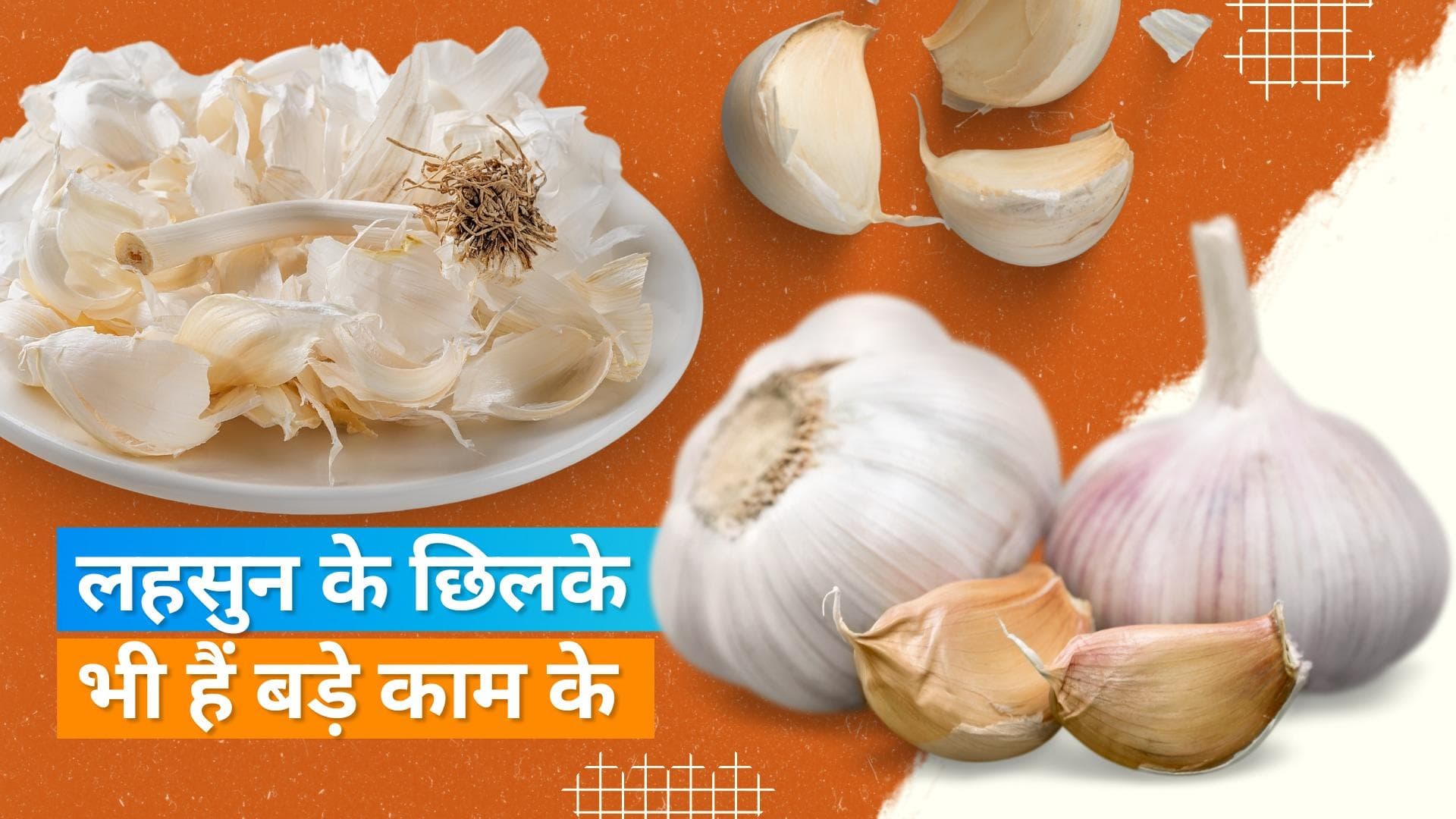 Garlic Peel Uses: अगली बार लहसुन के छिलकों को फेंके नहीं, ऐसे आ सकते हैं काम 