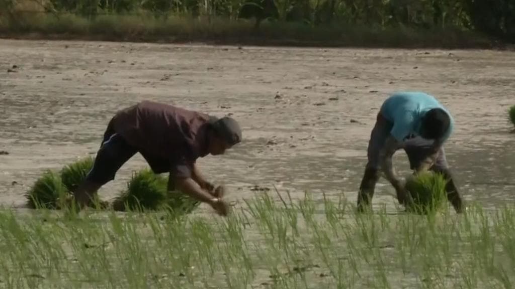 Modi govt reveals when panel for MSP law would be formed