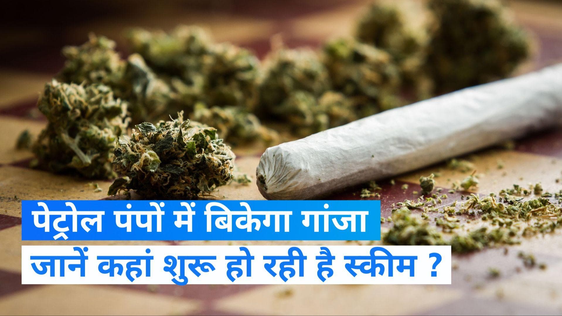 Marijuana: पेट्रोल पंपों पर मिलेगा गांजा, जानें कहां हो रही है शुरुआत ?