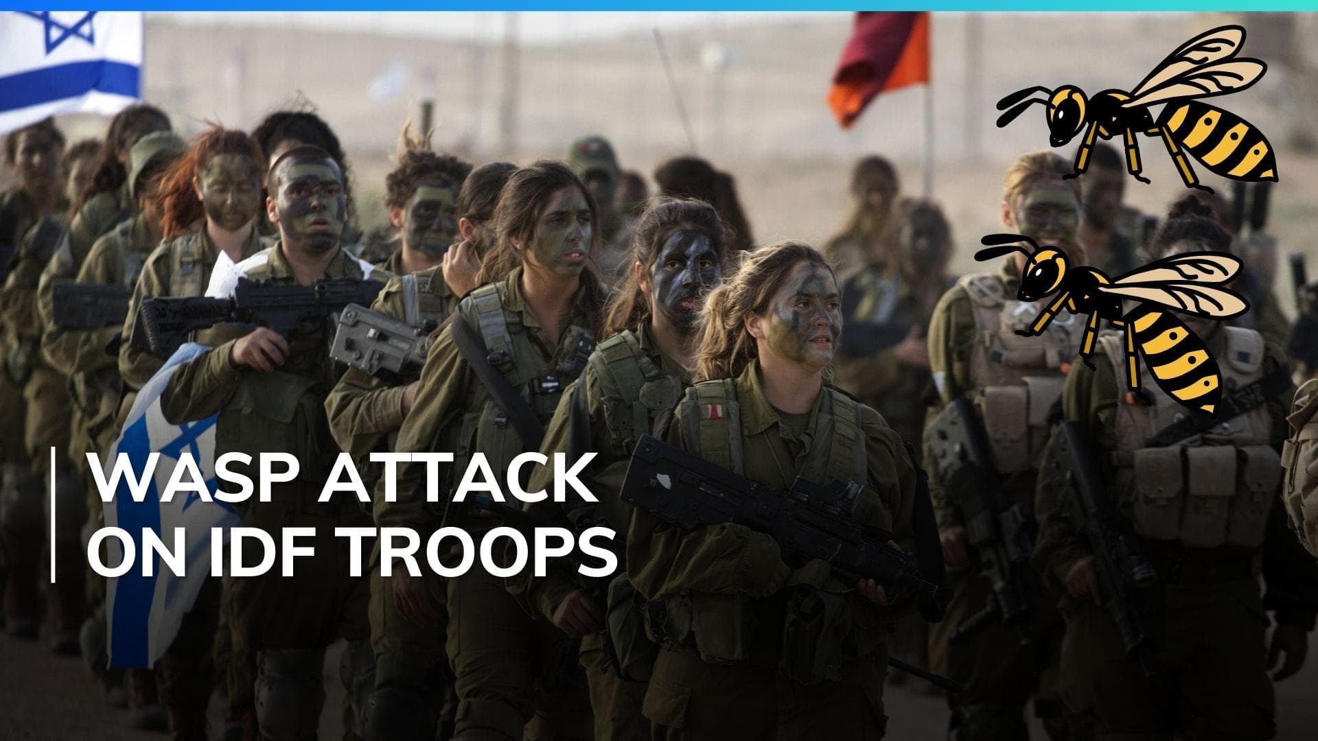 12 Israeli soldiers wounded after hundreds of wasps attacked them in Southern Gaza