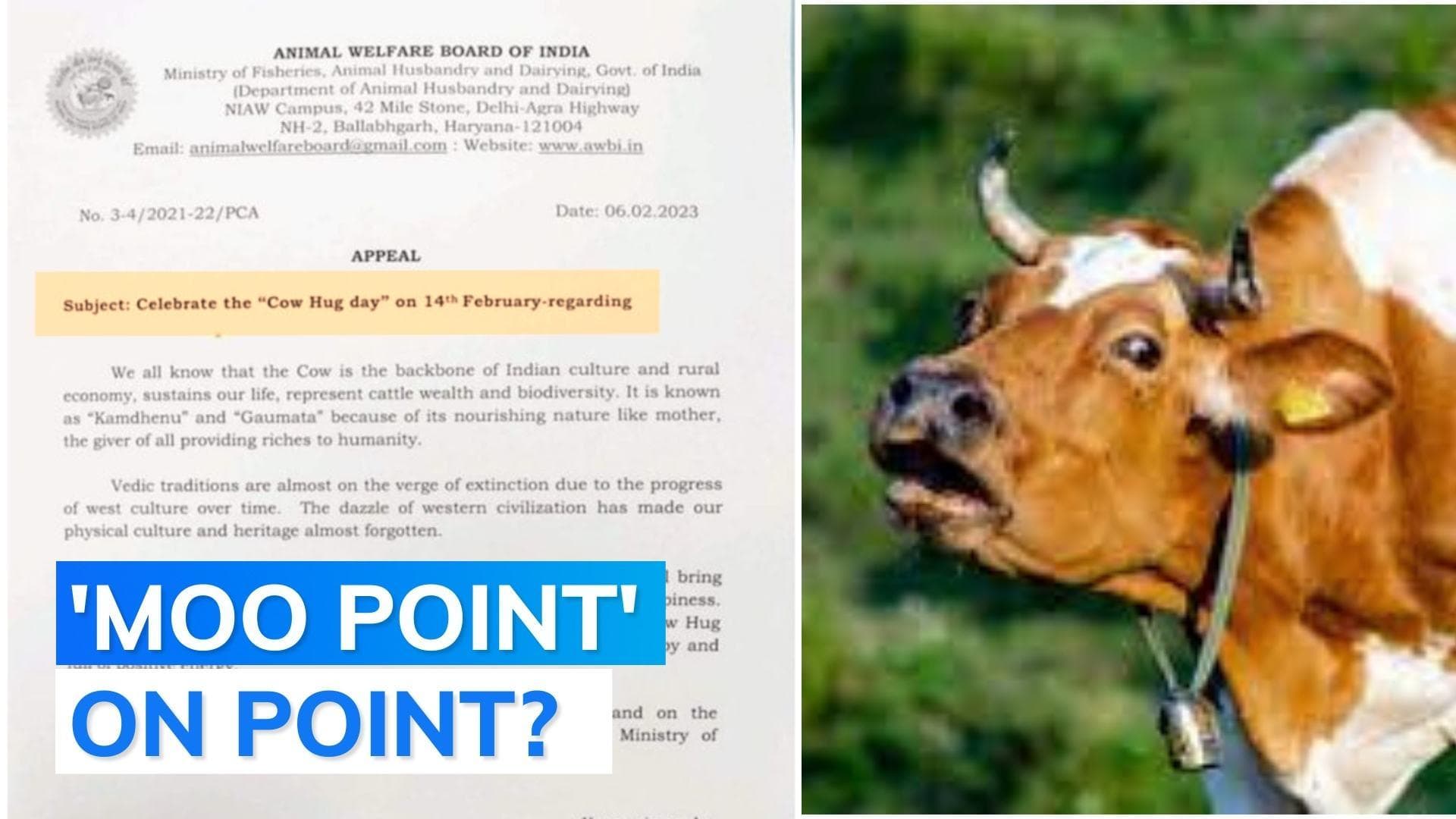 Cow Hug Day: netizens bombard social media with hilarious reactions